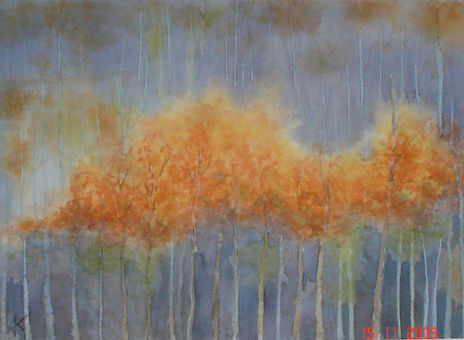 Incendio/Forest fire