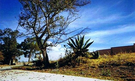 Naturaleza