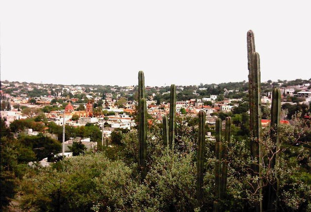 Bernal