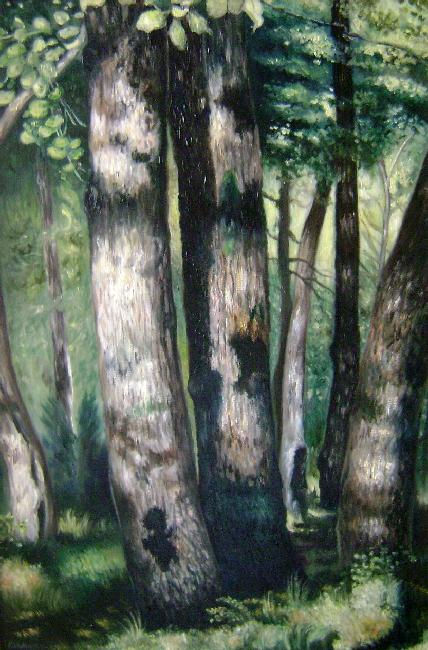 bosque de fontainebleau