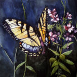 Nature thumbnail 1