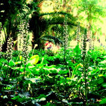 fotografia thumbnail 2