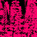 OLEOS thumbnail 2