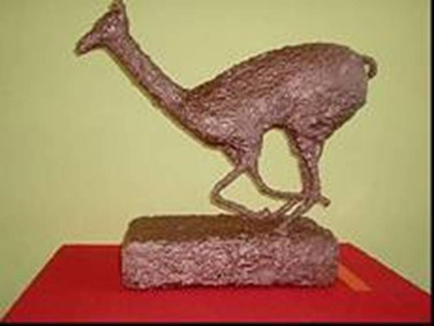 Guanaco Pátina 2