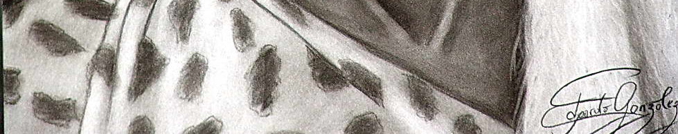 Imagen de portada