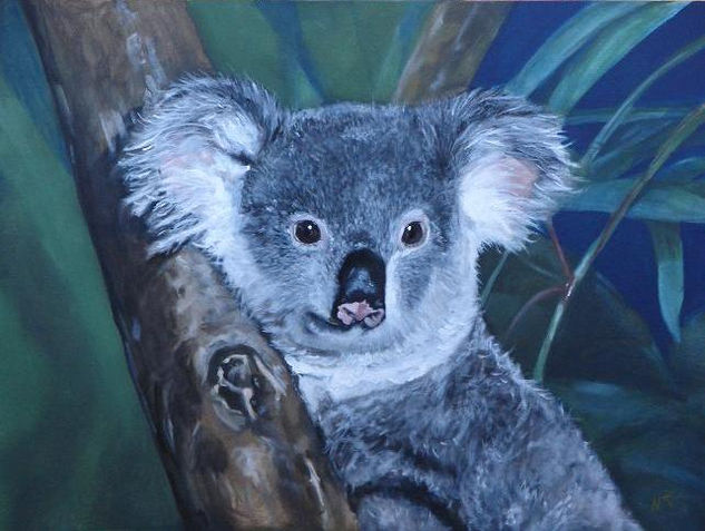 Koala Acrylic Canvas Animals