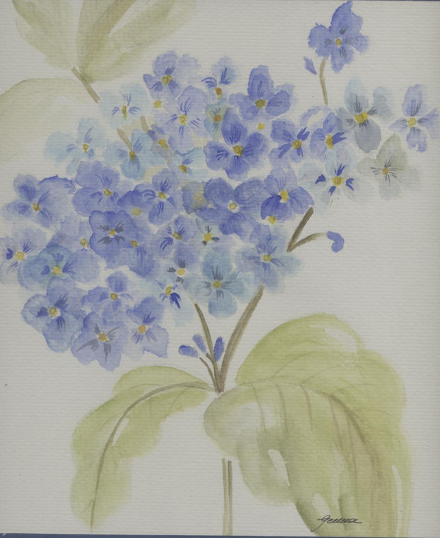 Hortensia azul
