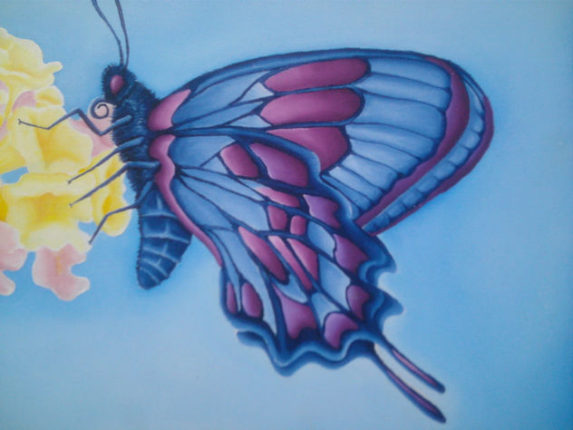 salme butterfly
