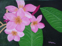 Flores Plumeros