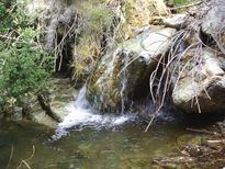 Agua pura agua