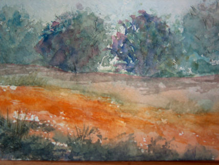Colores en el campo