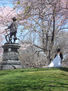 Wedding in Central Park