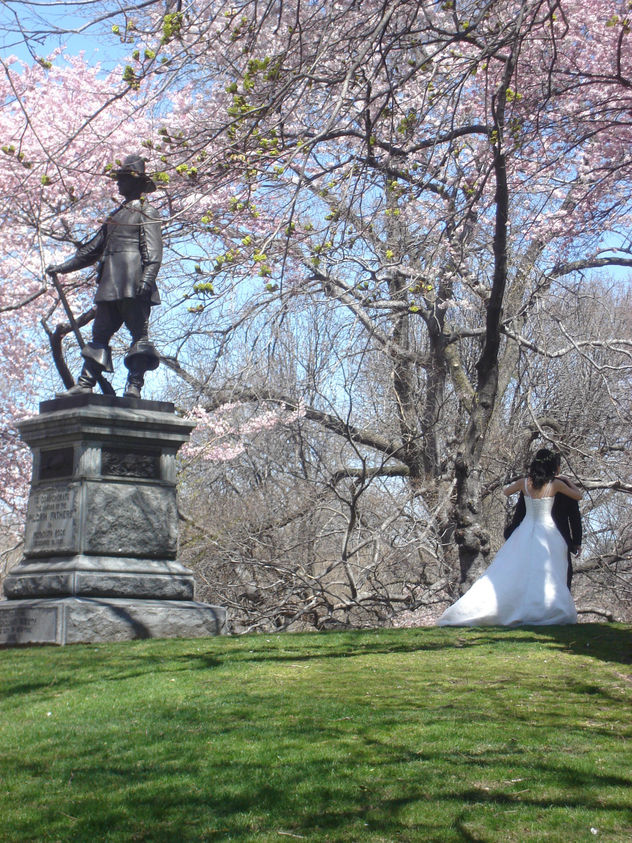Wedding in Central Park