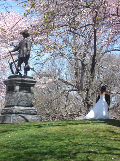 Wedding in Central Park Travel Color (Digital)