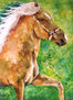 PISAGUA