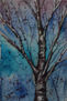 arbol sobre azul