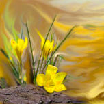 netart.Arte Digital thumbnail 2