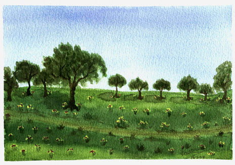 Encinas de la finca