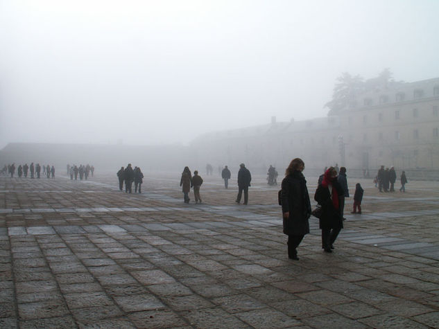 Sombras en la niebla 