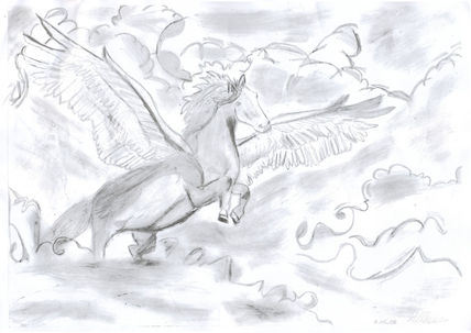Libertad Equina