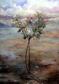 ROSAS EN EL MAR