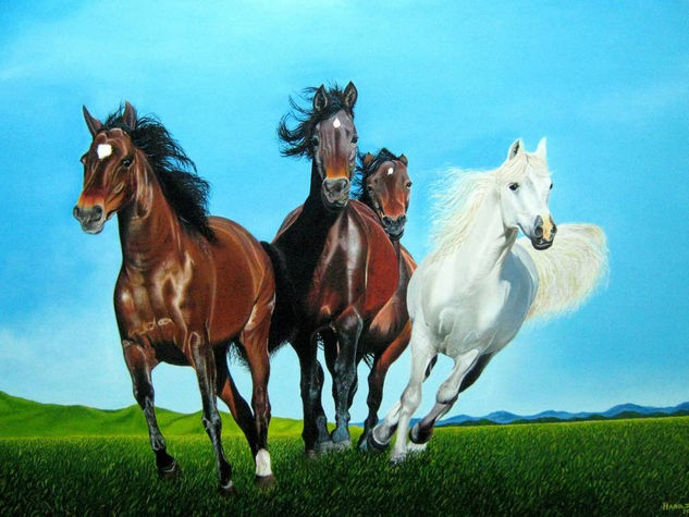 libres Oil Canvas Animals