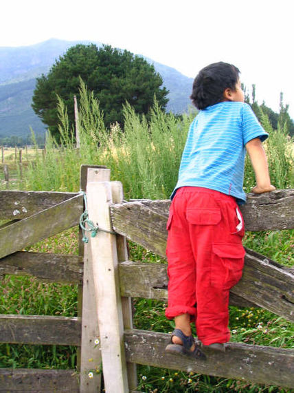 Juegos de Niño