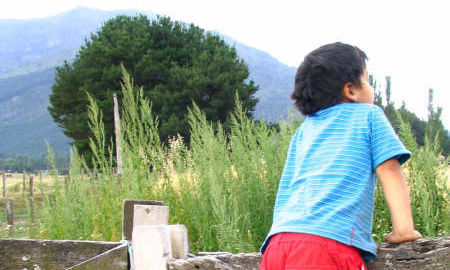 Campo