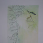 PAISAJE thumbnail 2