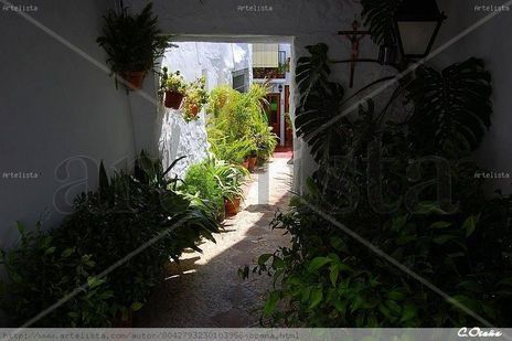 Sombra y Luz