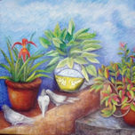 HABANERA thumbnail 2
