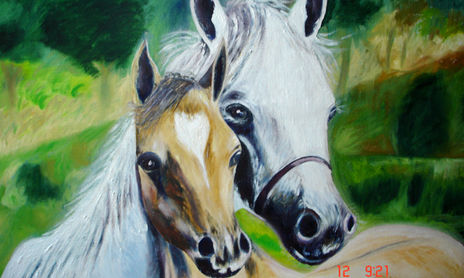 caballos