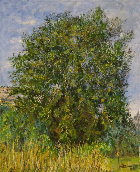 Roble Oil Canvas Landscaping