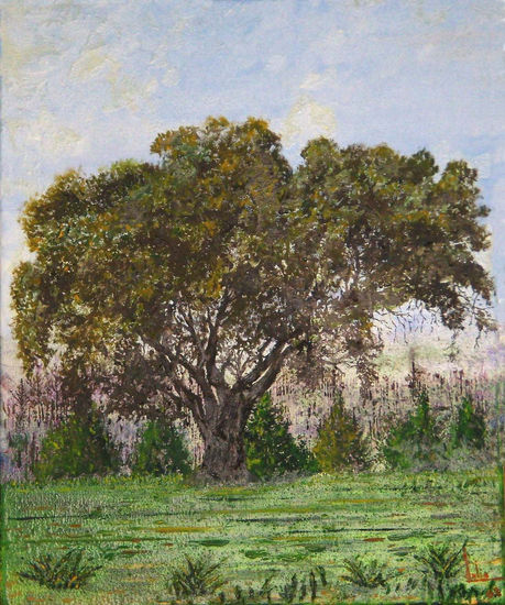 Encina Oil Canvas Landscaping