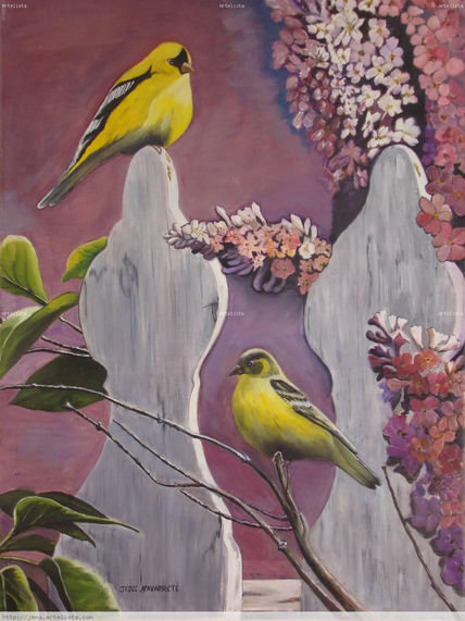 Pájaros en descanso