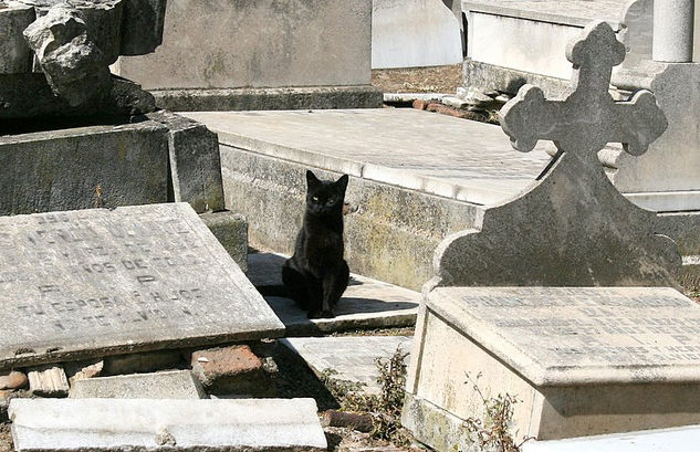 Mirada tenebrosa 