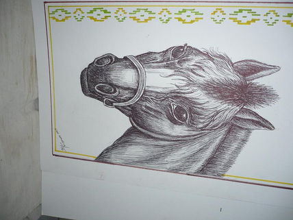 Caballo de campo