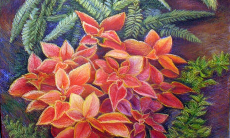 LA ALEGRIA DEL JARDIN
