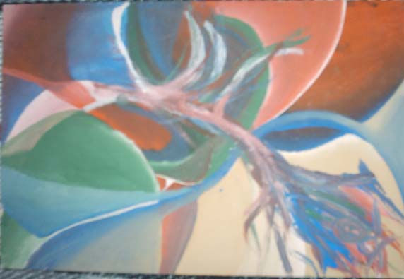 COLOR HILO