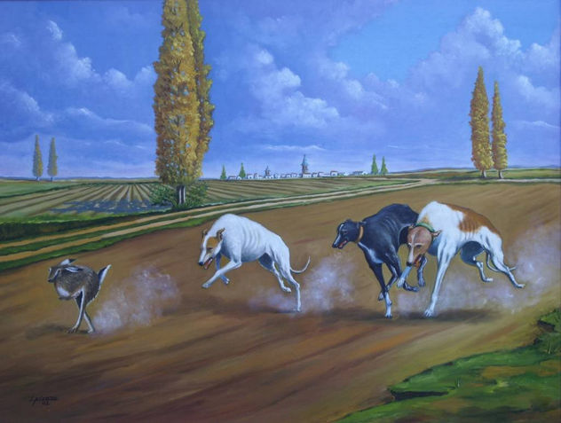 CARRERA DE GALGOS