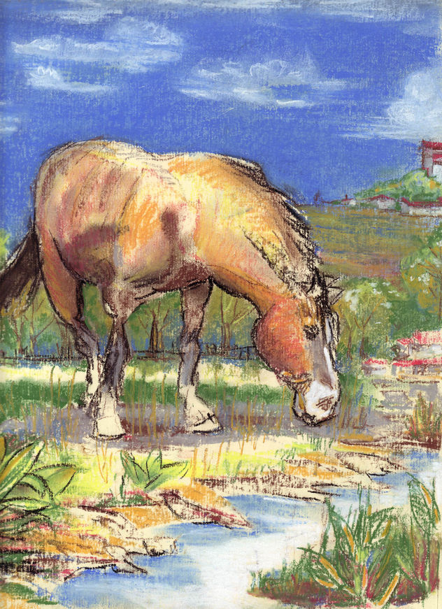 caballo