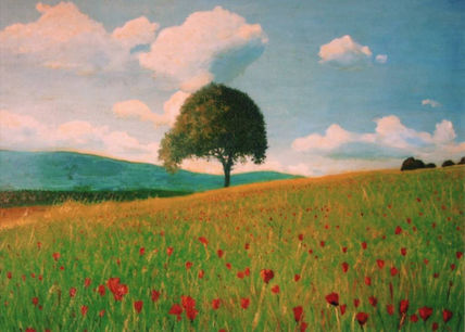Campo de amapolas