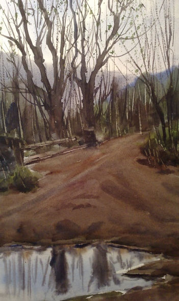 Paseo tras la lluvia
