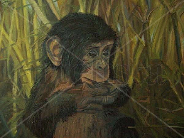 chimpancé abandonado Oil Canvas Landscaping