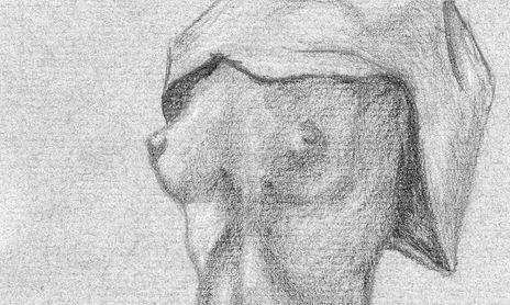 Desnudos