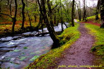 Camino por el río