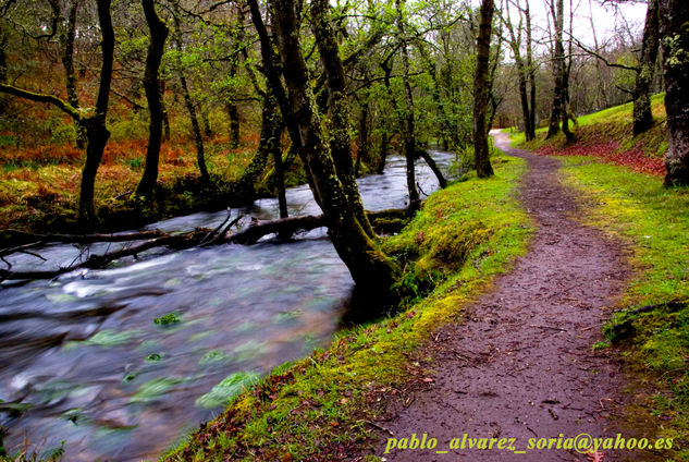 CAMINO POR EL RÍO 