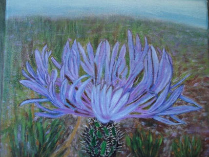 Cactus