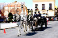 Coche de Caballos