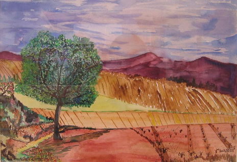 Paisaje rural